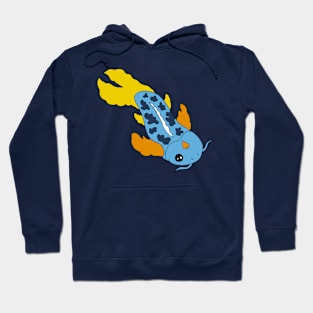 Pride Koi- Aroace Hoodie